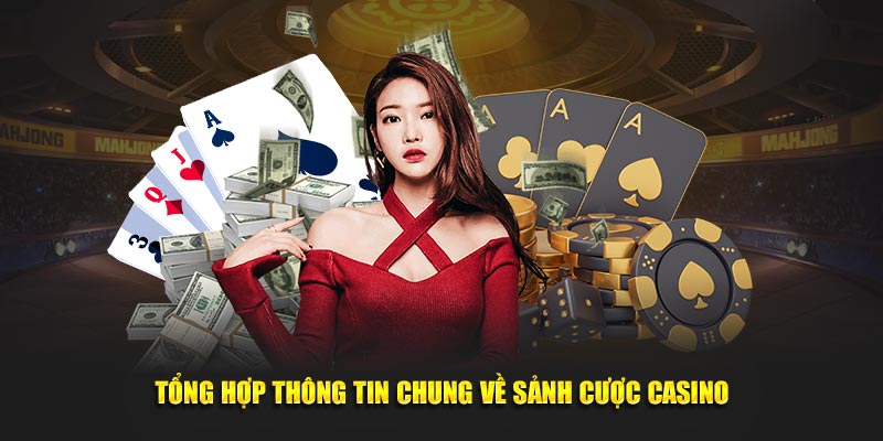 Thống kê một vài thông tin chung về sân chơi thú vị, hot hit 