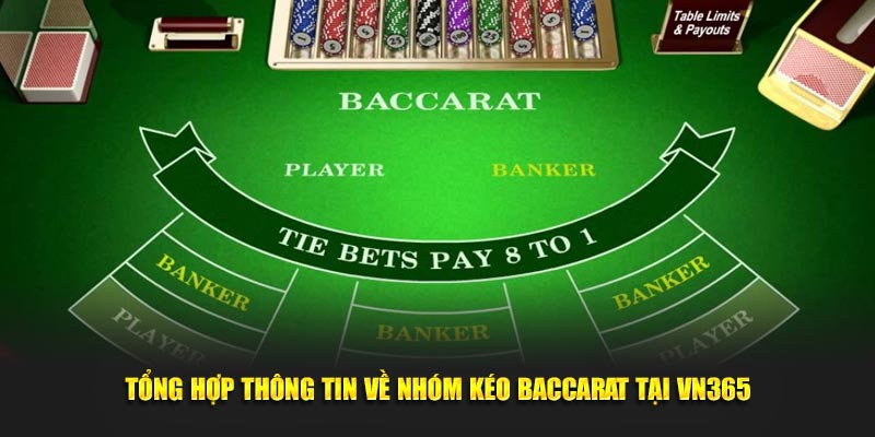 Tổng Hợp Thông Tin Về Nhóm Kéo Baccarat Tại VN365